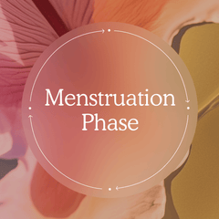 Menstruation 101